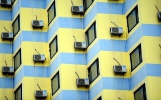 Инновационный материал для охлаждения, созданный китайскими исследователями из ДНК биомассы