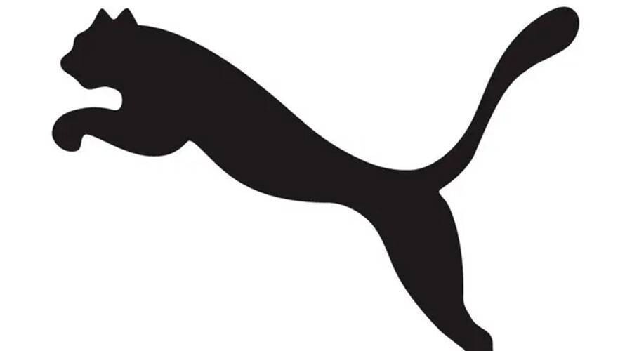 Chinese company becomes main shareholder of Puma