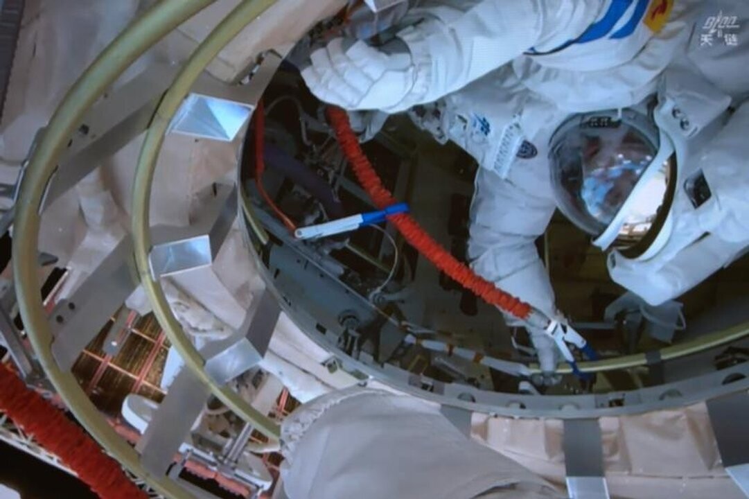 Space Mouse Gives Birth to Healthy Pups in Orbit