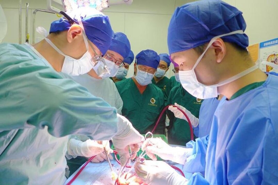 Significant Increase in Organ Donation in China