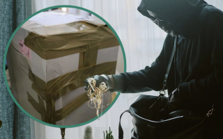 Man Attempts Burglary Using 'Trojan Horse' Box