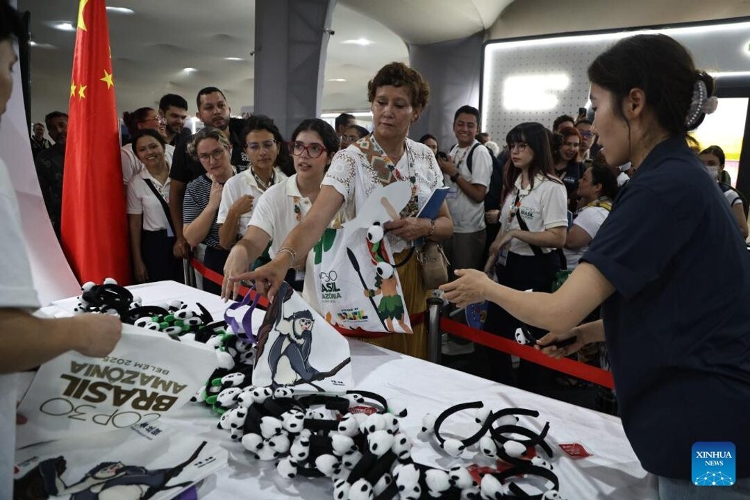 China Makes Significant Progress in Carbon Emission Reduction