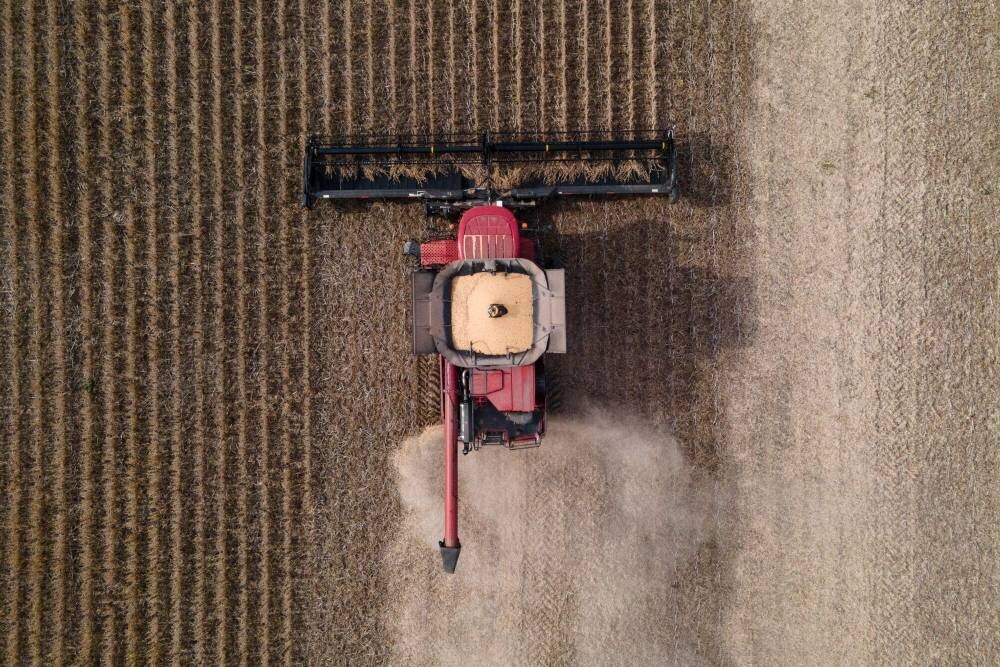 Soybean Prices Rise Amid US-China Trade Hopes