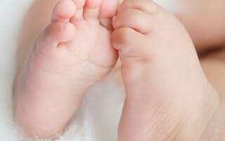 Редкое Рождение Близнецов из Двух Маток в Сиане