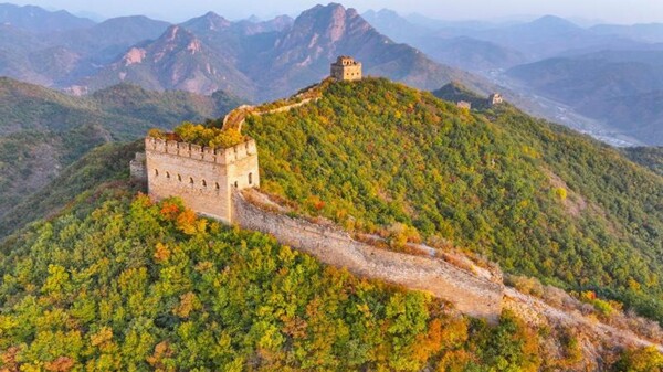 'Living Skin' of the Great Wall of China Protects It from Deterioration