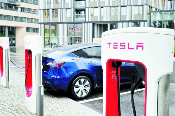 Tesla Model Y включен в список покупок местного правительства в Китае