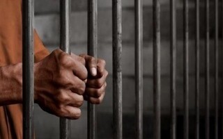 Местный житель оштрафован за строительство моста | Новости за границей