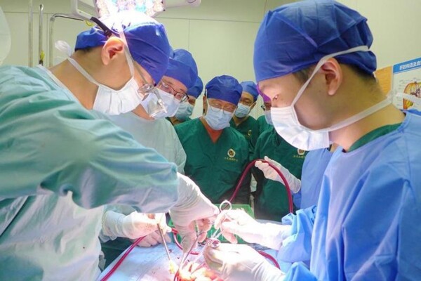 Significant Increase in Organ Donation in China