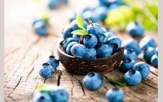 Соединение из черники улучшает здоровье кишечника | Новости за пределами родины
