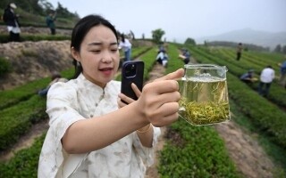 Китай представил 19 новых профессий, признанных Министерством человеческих ресурсов