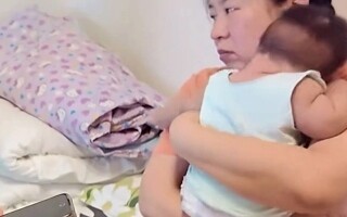 Китайская няня обманута фальшивыми родителями в Хэйлунцзяне