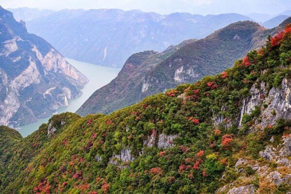 Red Leaves in China: From Natural Phenomenon to Economic Wonder