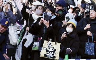Panda Twins from Tokyo Return to China