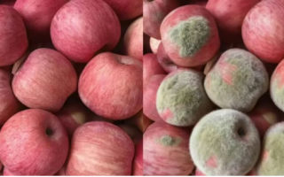 Chinese Sellers Face New AI-Generated Refund Scam