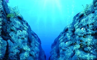 The Secrets of the Mariana Trench: A Study Revealing Life's Mysteries